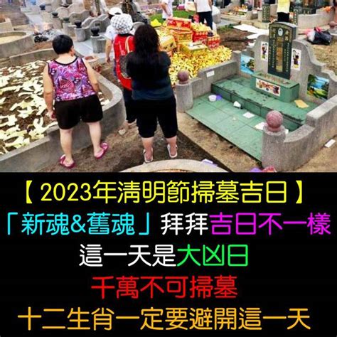 2023清明掃墓吉日|2023年清明節掃墓吉日曝！專家：這時間「最佳」 